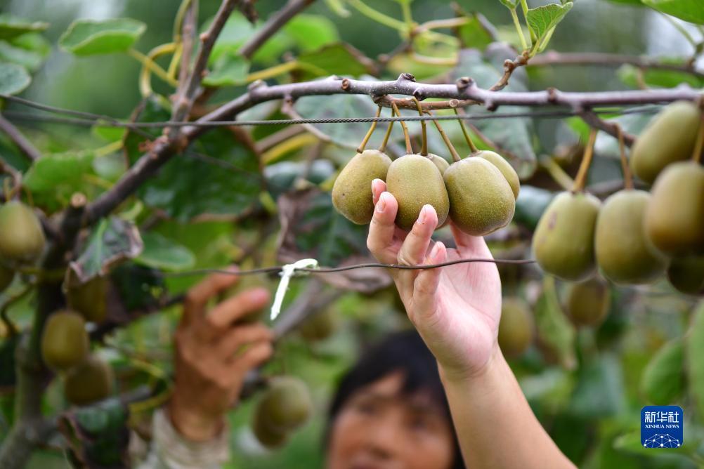 捕鱼游戏客户